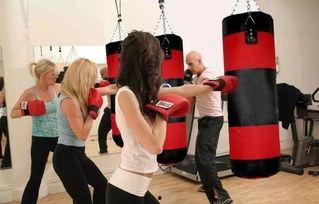 成人散打武器视频教学,视频教学揭秘实战奥秘