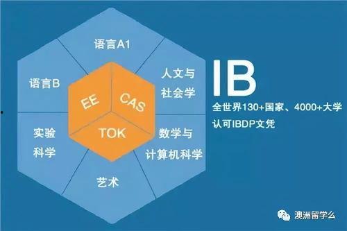 成人如何自学雅思课程视频,视频课程学习指南