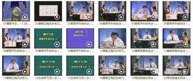 成人练字本教学视频楷书