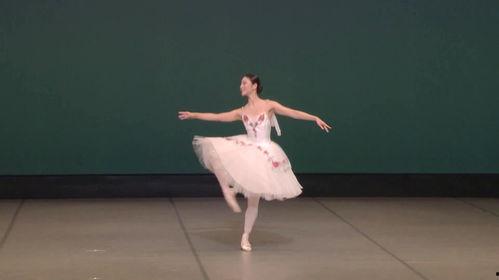芭蕾舞视频成人独舞,成人独舞芭蕾的优雅演绎