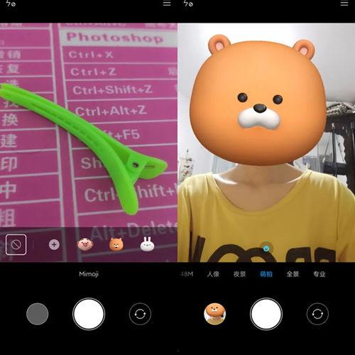 成人爬行技巧视频讲解教程,视频教程详解,轻松掌握爬行技能