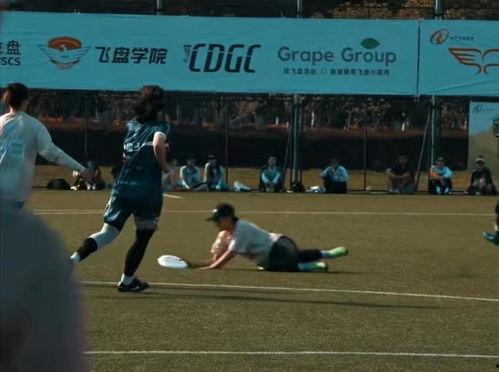 成人飞盘竞技怎么玩视频,成人玩法视频解析