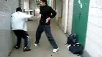 成人搏击班视频大全播放