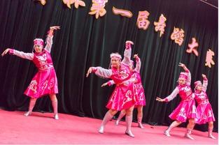 成人独舞演出视频教程大全,成人独舞教程视频大全解析