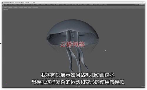 自制成人翅膀教程视频,跟随教程视频，开启奇幻翅膀之旅