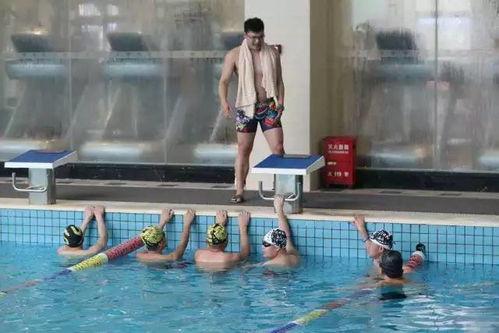 成人游泳培训视频大全,成人游泳培训视频大全精华汇总