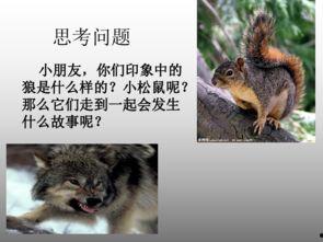 鼠狼可以变成人吗视频,鼠狼人间的奇幻之旅