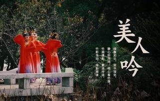 成人古典舞跳舞视频教学,跟随视频轻松掌握成人古典舞技巧