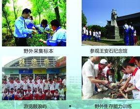 成人礼大人视频教学,视频教学中的成长启示