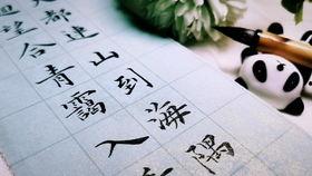 楷书成人毛笔书法视频