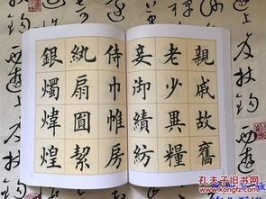 楷书成人毛笔书法视频