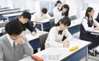 江西成人高考培训视频,揭秘高效备考策略与技巧