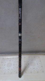 成人笛子怎么自学视频