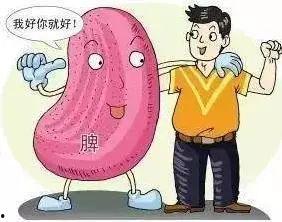 成人的脾胃调理方法视频,成人养生之道视频精华解析