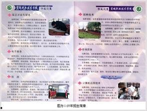 成人画室简章内容大全视频,成人画室简章内容大全视频精华概述